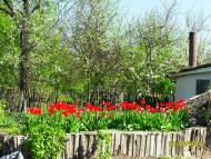 Шершнівка - Останні фото