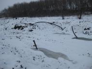 Зачепилівка з panoramio.com