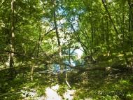 Червона Поляна з panoramio.com