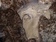 Кривче з panoramio.com