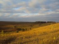 Веселий Кут з panoramio.com