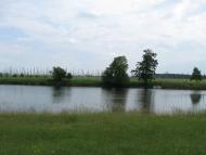 Ражнів з panoramio.com