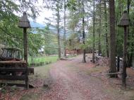 Полянська Гута з panoramio.com