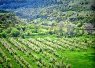 Некрасовка з panoramio.com