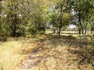 Роздольне з panoramio.com