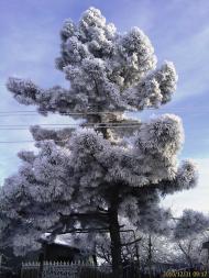 Лучинське з panoramio.com