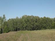 Нова з panoramio.com