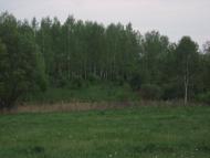 Тимченки з panoramio.com