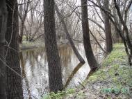 Федорівка з panoramio.com