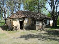 Шишкине з panoramio.com