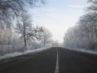 Брусниця з panoramio.com