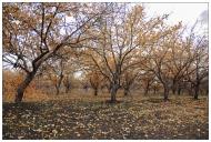 Суходільськ з panoramio.com