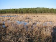 Кочережки з panoramio.com