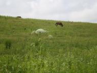 Крукеничі з panoramio.com