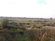 Березань з panoramio.com