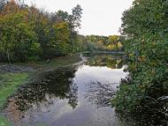 Благодатне з panoramio.com