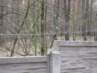 Сокирна з panoramio.com