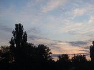 Усатове з panoramio.com