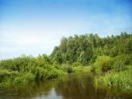 Цвітянка з panoramio.com