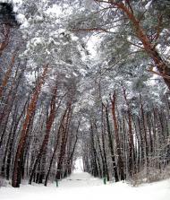 Хрипаличі з panoramio.com