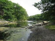 Сокільники з panoramio.com