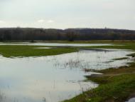 Санжари з panoramio.com