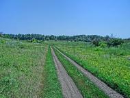 Оліївка з panoramio.com