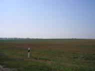 Новеньке з panoramio.com