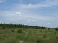 Ражнів з panoramio.com