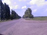 Доманівка з panoramio.com - Доманівка