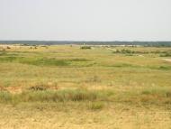 Знаменівка з panoramio.com