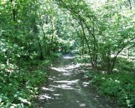 Моначинівка з panoramio.com