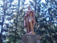 Шаповалівка з panoramio.com