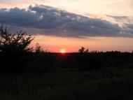 Гулі - Останні фото