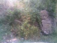 Веселий Кут з panoramio.com