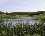 Моначинівка з panoramio.com