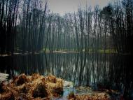 Будище з panoramio.com