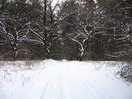Булахівка з panoramio.com - Булаховка