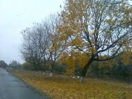 Веснянка з panoramio.com