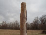 Літочки з panoramio.com