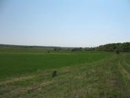 Аркадівка з panoramio.com