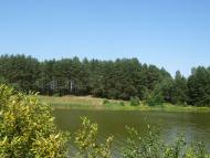 Камка з panoramio.com