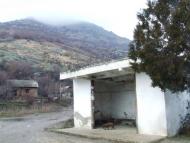 Ворон з panoramio.com