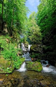 Полянська Гута з panoramio.com