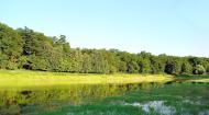 Соколове з panoramio.com