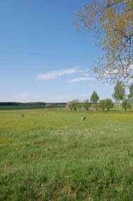 Лопавше з panoramio.com