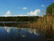 Льгівка з panoramio.com