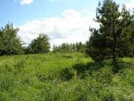 Рудка з panoramio.com