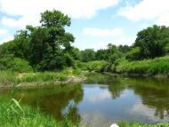 Кочережки з panoramio.com