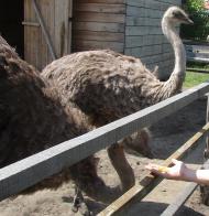 Верхня Сироватка з panoramio.com